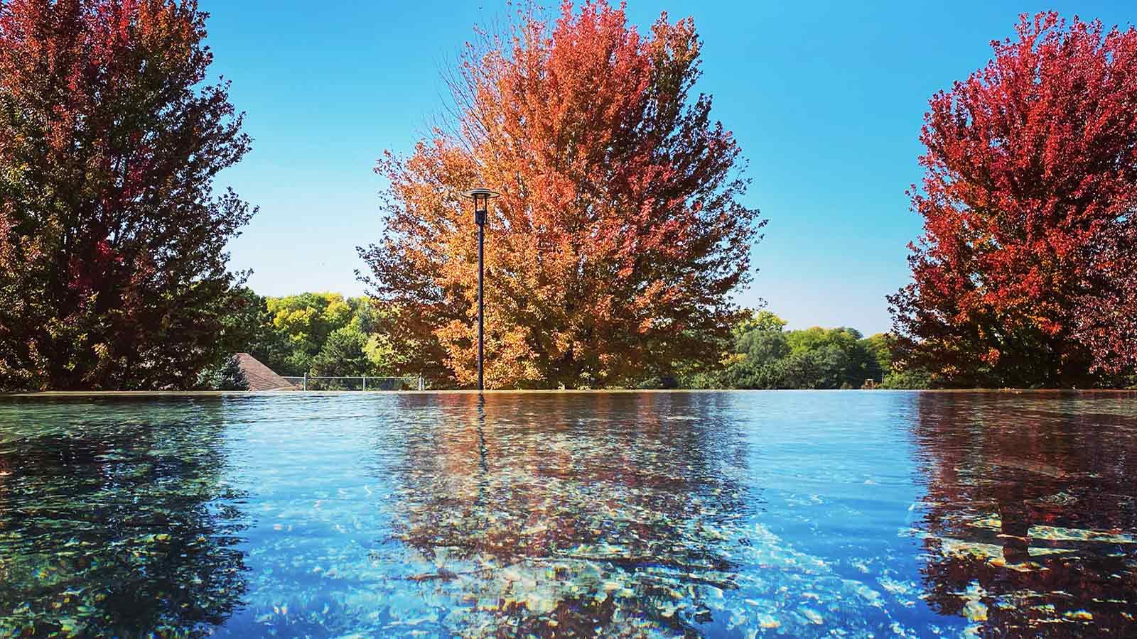 Reflection of fall trees in the fountain